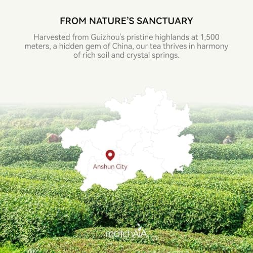 MatchAiA Organic Matcha Green Tea Powder - Premium Culinary Grade, USDA Certified, 100% Pure - Perfect for Lattes, Smoothies, Desserts and Baking - Sugar Free, Gluten Free (60g / 2.1oz Pouch) - Thumbnail 3