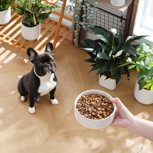 MALACASA Ceramic Dog Food Bowl, 1.5 Cups or 14oz Dog Food Water Dish for Small Breeds, Cats Pet Bowl Dishwasher & Microwave Safe, Five-Leaf Grass, Series Lydia - Thumbnail 3