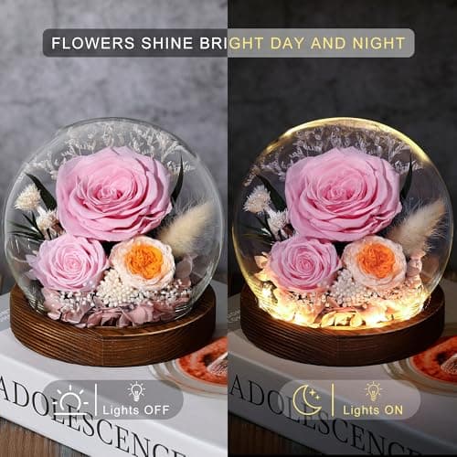 Eaprala Gifts for Her Preserved Flower Rose in Glass Dome Gifts for Women Mom Wife on Birthday Chrismas,Home Decoration.Pink - Thumbnail 2