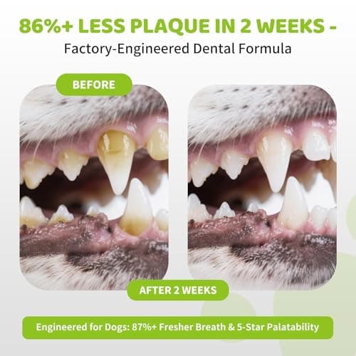 Aloevia Dog Dental Powder for Teeth 200g -Enzymatic Plaque & Tartar Remover, Teeth Cleaning Powder for Fresh Breath, 90 Day Supply for All Breeds - Thumbnail 3