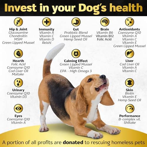 Soft Chews Dog Vitamins & Supplements - Dog Multivitamin - Hemp Oil Glucosamine Chondroitin Hip and Joint Support Health, Skin & Coat, Digestion & Immune Booster, Heart, Probiotics - Thumbnail 2