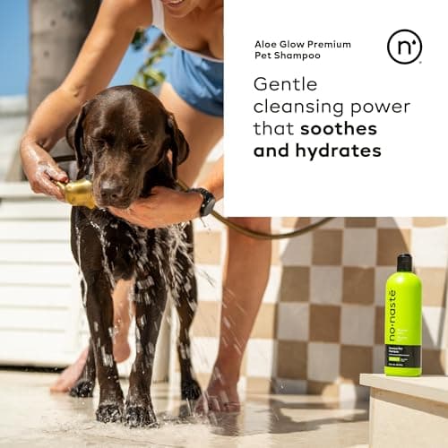 Nonaste Aloe Glow Premium Dog Shampoo (16 Oz, Pack of 1) – Deep-Clean & Odor-Neutralizing Dog Wash with USDA Certified Organic Aloe & Oatmeal | for Sensitive Skin, Soft Shiny Coat, Light Fresh Scent - Thumbnail 2