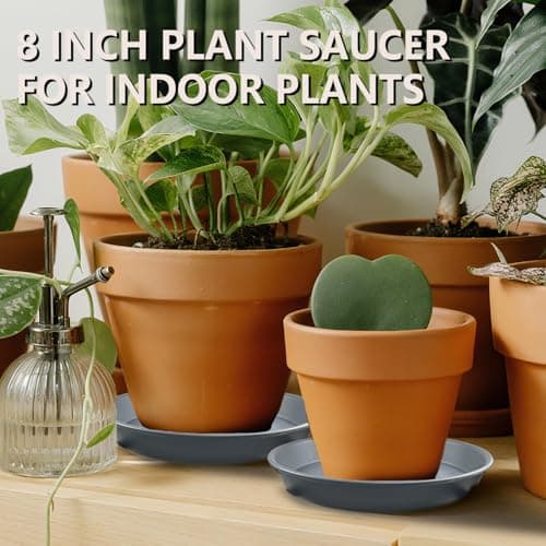 Garrdeen 6 Pack 8-Inch Gray Plant Saucer Trays, Durable PP Plastic Pot Bases for Small Medium Planters, Modern Round Flower Pot Water Catcher Plates & Drip Trays for Indoor Plant Care - Thumbnail 5