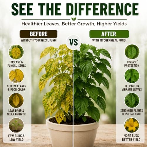 Mycorrhizal Fungi Inoculant with Trichoderma & Bacillus Subtilis, Concentrated Soil Activator for Stronger Roots, Bigger Growth & Higher Yields, Organic Mycorrhizae for Indoor & Outdoor Plants, 16oz - Thumbnail 5