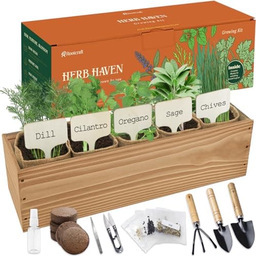 5 Herb Garden Planter Indoor with Wooden Box, Home Kitchen Seed Starter Kit Including Dill, Cilantro, Oregano, Sage, Chives, Birthday, Mothers Day, House Warming, Gardening Gifts for Women, Mom - Image 1