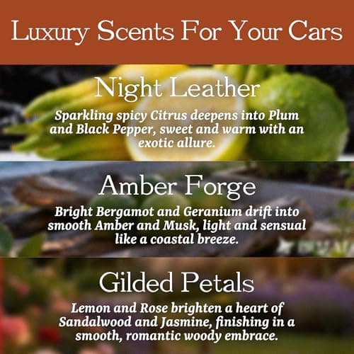 POMOA Alder Wood Car Freshener 3-Pack, Sun Visor Clips Included - Thumbnail 3