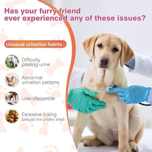 Dog Urinary Tract Supplement & Natural UTI Medicine Cranberry & D-Mannose -Kidney+Bladder Support - Best Prevention Incontinence & Bladder Stones-Cranberry Supplement - 150 Chews - Thumbnail 2