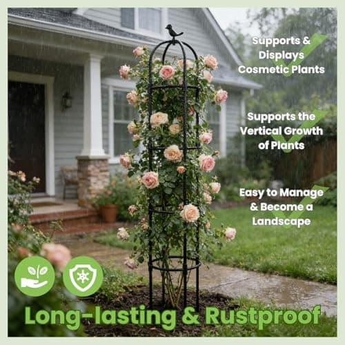 Lancisism Garden Obelisk Trellis for Climbing Plants Outdoor - 2 Pack 6.3 Ft Plant Support Round Trellis for Potted Plants Indoor - Rustproof Plastic Coated Tomato Cage for Vines Flowers Vegetable - Thumbnail 5