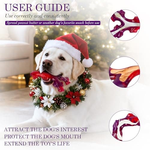 Frienhund 6-Pack Indestructible Dog Toys for Large Breed: Dog Toys for Aggressive Chewers, Nylon Dog Chew Bones for Large Dogs, Dog, Irresistible Beef Flavor - Thumbnail 4