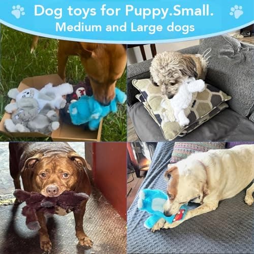 Bzonsmart 5 Pack Squeaky Dog Toys.Tough Plush Chew Toys for Dogs.Interactive Dog Toys to Keep Small Medium Large Breed Dogs Busy .Durable Anti-Boredom Dog Toy for Teething & Playtime. - Thumbnail 4