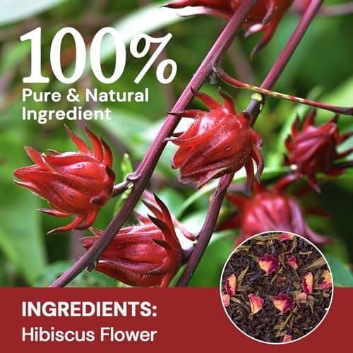 Hibiscus Tea Bags, Hibiscus Flower Herbal Tea - Caffeine & Sugar Free, 50 Teabags - Thumbnail 3