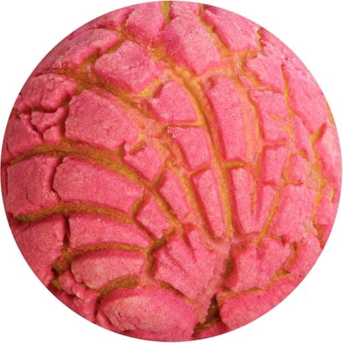 74in Concha Blanket White Elephant Gifts for Adults Useful Throw Blankets Women Men Party Cool Stuff Novelty Gag Soft Fleece Wrap Sweet Shell Bread - Image 1