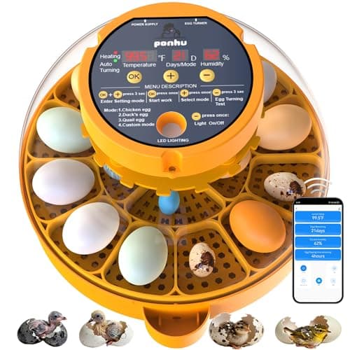 16 Eggs Incubator, Incubators for Hatching Eggs, Eggs Incubator with App, Chicken Incubator with Automatic Turner, Incubator for Chicken Eggs, Quail Eggs, Duck Eggs or Poultry Eggs Incubator Custom - Image 1