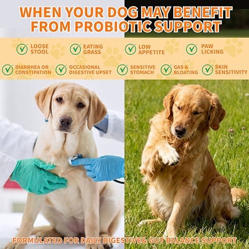 Probiotics for Dogs - 6 Digestive Probiotics & 6 Enzymes for Itchy Skin,Digestion & Gut Support,Helps Diarrhea, Yeast Infection, Upset Stomach,Allergies & Immune System Support-150 Chews - Thumbnail 3