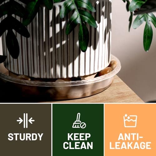 MUDEELA 6 Pack of 12 Inches Plant Saucers for Indoor, Durable Plastic Round Plant Tray Plant Dish Pant Plate to Catch Water for Flower and Plant Pot, Thicker, Stronger, Deeper, Clear - Thumbnail 4