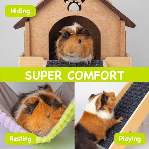 BESNEW 3 in 1 Enlarged Guinea Pig Hammock,Wooden Guinea Pig Hideout with House & Platform & Stairs Small Animal Toys for Hiding Sleeping Activities - Thumbnail 3