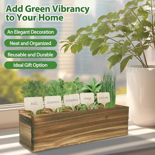 5 Herb Garden Planter Indoor with Wooden Box, Home Kitchen Seed Starter Kit Including Dill, Cilantro, Oregano, Sage, Chives, Birthday, Mothers Day, House Warming, Gardening Gifts for Women, Mom - Thumbnail 4