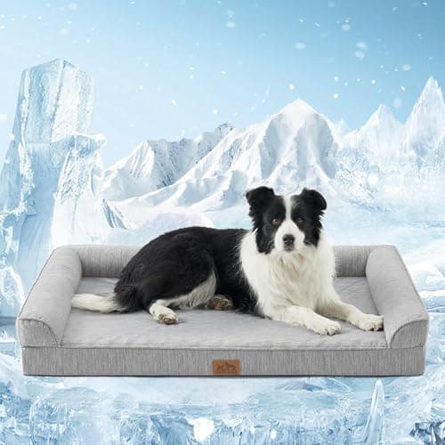 COZY KISS Cooling Dog Bed, Orthopedic Foam Dog Bed with Sides, Removable Washable Cover & Waterproof Lining and Nonskid Bottom, Comfortable Pet Beds for Large Dogs, Grey (42" L x 30" W x 7" Th) - Image 1