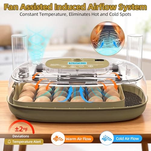 24 Incubators for Hatching Eggs, Egg Incubator with Humidity Control & Digital Temperature, Automatic Egg Turner, Hatch Day, Auto Water Refill, 360°Viewing for Chicken, Duck, Quail, Duck, Goose - Thumbnail 2