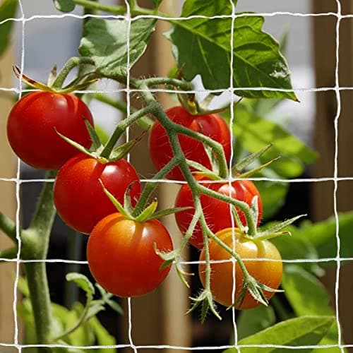 Tcamp Heavy-Duty Polyester Plant Trellis Netting 5 x 15ft (1 Pack) (5 Ft X 15 Ft) - Thumbnail 3