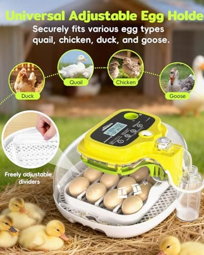 Incubators for Hatching Eggs, 16 Eggs Incubator with Auto Water Refill, Automatic Turner, Digital Temperature Control & Humidity Display and Led Candler, Poultry Hatcher for Chicken, Duck, Quail - Thumbnail 6