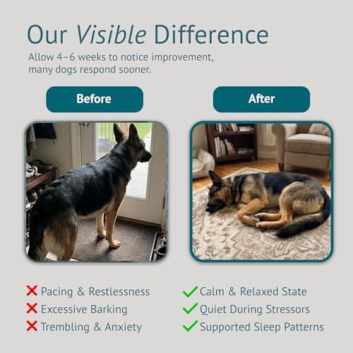 VetsLeaf Calming Chews for Dogs - Dog Anxiety Relief and Calming Sleep Support with Theanine, Lemon Balm, Taurine & Inositol - Fireworks, Thunderstorms & Separation Anxiety - Made in USA - 60 Count - Thumbnail 5