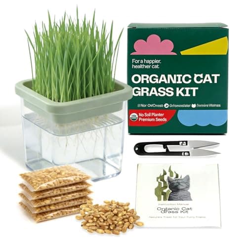 Hydroponic Cat Grass Grow Kit with 5 Pack Seeds - Soil-Free Planter with DIY Stickers for Indoor, Helps Cat with Hairballs & Digestion, Easy 3-Step Setup (Food-Safe PP&AS, 7-Day Growth) - Image 1