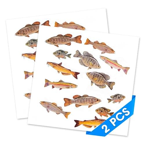 2 Sheets Fish Stickers for Adults - Realistic Detailed Fish Sticker Set, Quality Vinyl, 26 Fishing Stickers and Decals, Great Phone & Laptop Decorating - Usable with Metal, Plastic, Wood and Glass
