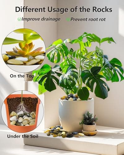 Garrdeen 5LB Polished Mixed River Rocks, Natural Decorative Stones for Indoor Outdoor Plants, Succulents, Vases, Fish Tank, Garden Landscaping & Top Dressing Pebbles 1-2.2Inch - Thumbnail 5