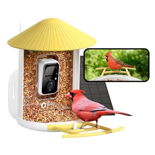 NETVUE by Birdfy Smart Bird Feeder with 2K AI Camera Solar Powered, 3MP Wireless Wildbird Watching, Live Stream & Night Vision, Auto-Capture & Notify, Collection & Cloud Storage (AI by Subscription) - Image 1