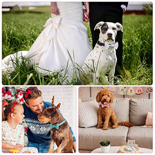 Jumpress Bling Dog Bow Tie Collar for Small Medium Dogs, Cute Pink Girl Dog Collar with Bow for Daily Walking or Holiday Party (Neck fit 13-19’’) - Thumbnail 5