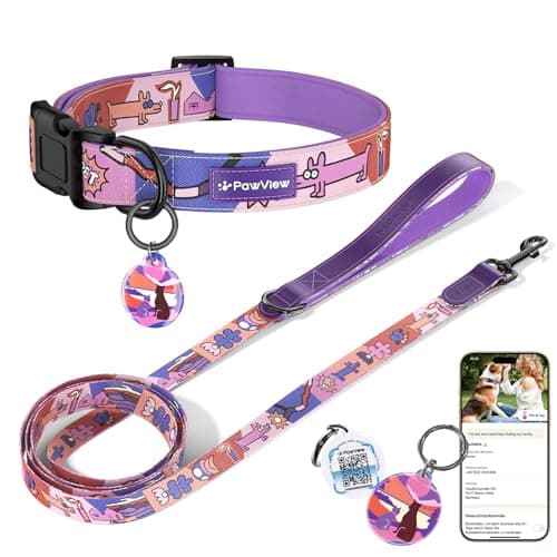 PawView Dog Collar and Leash Set, QR Tag Adjustable Pet Collar, 5 FT Heavy Duty Dog Leash, Padded Handle, Quick Release Buckle, Metal Ring, 360° Swivel Clip for Medium Dogs Walking Running (Purple, M) - Image 1