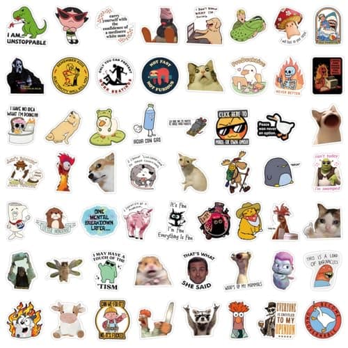 55Pcs Funny Meme Stickers Pack, Waterproof Vinyl Sarcastic Decals for Laptop, Water Bottle, Phone, Kindle, Journal, Scrapbook, Bumper, Skateboard, Luggage, No Repeats (55)