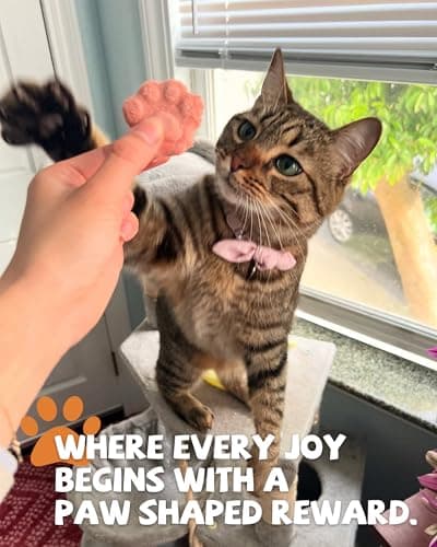 PAWUP Freeze Dried Cat & Dog Treats, Natural Quail Egg Yolk, Rich in Antioxidants Cranberry Added, High-Protein Pet Snacks for Coat & Urinary Health, 3.5 oz - Thumbnail 6