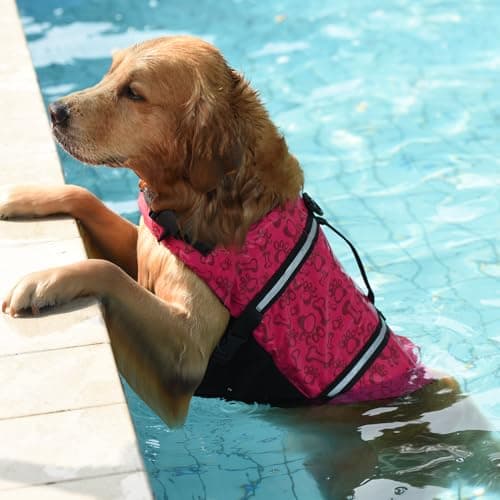 Doglay Dog Life Jacket, Dog Life Vest for Swimming Boating, Adjustable Puppy Life Jacket with Reflective Stripes, Superior Buoyancy Dog Swimming Vest for Small Medium and Large Dogs - Thumbnail 5