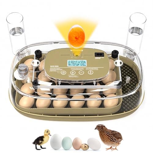 24 Incubators for Hatching Eggs, Egg Incubator with Humidity Control & Digital Temperature, Automatic Egg Turner, Hatch Day, Auto Water Refill, 360°Viewing for Chicken, Duck, Quail, Duck, Goose - Image 1