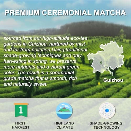 Letstay Matcha, Matcha Powder Ceremonial Grade Highland Matcha Tea Organic Matcha Green Tea - Premium 1st Harvest - Zero Sugar, Halal Certified & SGS Certified & FSSC 22000, 30g (1.06oz) Tin - Thumbnail 4