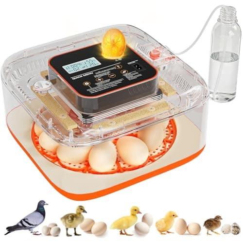 Incubators for Hatching Eggs 12 Egg Digital Egg Incubator Precision Auto Temp Humidity Control 6 Gear Adjustable Auto Turner Auto Stop Turning Hatching Days Display for Chicken Duck Goose Eggs - Image 1
