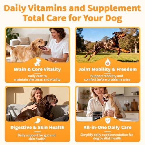 POPPAW 25-in-1 Dog Multivitamin Chews – All-in-One Daily Vitamins & Supplements for Dogs, Joint Support with Glucosamine MSM, Omega-3 Skin & Coat, Gut, Heart & Brain, All Breeds & Ages, Beef, 90Ct - Thumbnail 4
