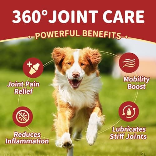 NATURE TARGET Glucosamine for Dogs, Joint Supplement with Chondroitin, MSM, Omega-3, Hemp for Pain Relief, Hip & Joint Chews for Dogs with Calcium for Bone Health, 120 Soft Chews - Thumbnail 2
