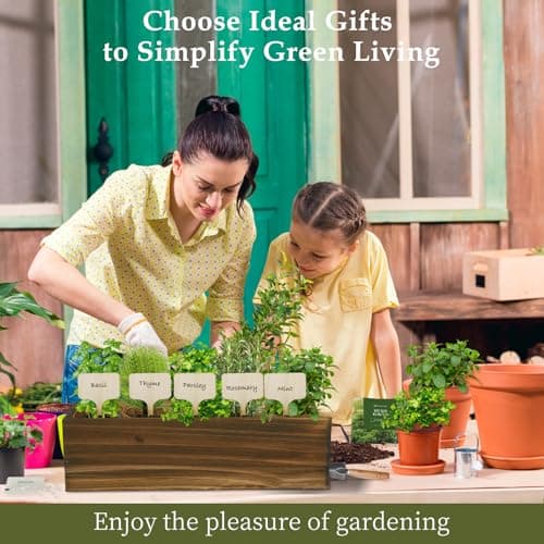 5 Herb Garden Planter Indoor with Wooden Box, Home Kitchen Seed Starter Kit Including Basil, Thyme, Parsley, Rosemary, Mint, Birthday, Mothers Day, House Warming, Gardening Gifts for Women, Mom - Thumbnail 5