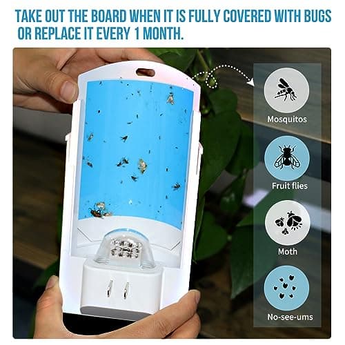 OSVDO Trap Refills, Flying Insect Trap Refill Kit NO Device - 4 Pcs Glue Cards, Each Glue Card Lasts up to 65-Day or Until Full Flying Insect Trap (4 x Refills) - Thumbnail 3
