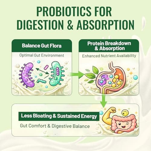 30g Organic Vegan Protein Powder, Plant-Based Protein Powder, Meal Replacement, 20 Billion Probiotics, 0g Sugar, Energy, Focus, Recovery, Dairy-Free, Easy Digestion, Vanilla, 20 Servings - Thumbnail 2