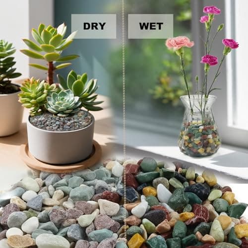 5LB Succulents Rocks for Plants Cactus Gravel Pebbles for Fish Tank 1/2 Inch Natural River Rocks for Vase, Aquarium, Landscaping,Bonsai,Terrarium Pebbles, Mixed Color - Thumbnail 3