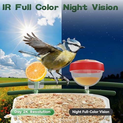 BROAIMX Smart Bird Feeder with Camera-AI Identify 11,000+ Species, 2K HD Auto Capture Birds Video & 64G TF Card, Solar-Powered Wireless Outdoor Design, Birdhouse with Built-in Two-Way Microphone - Thumbnail 4