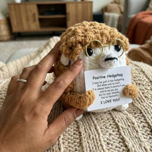AskLady Crochet Hedgehog Valentines Day Birthday Gifts for Women Men,Cheer Up Appreciation Gift for Friends Coworkers - Inspirational Emotional Support for Her Mom Sister, Positive Gifts for Yourself - Thumbnail 5