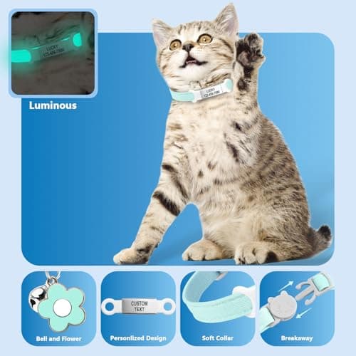 Personalised Glow in The Dark Cat Collar with Bell, Adjustable Breakaway Safety Luminous Collar with Stainless Steel Name Tag Fluorescent Glow (Grow in The Dark) - Thumbnail 4