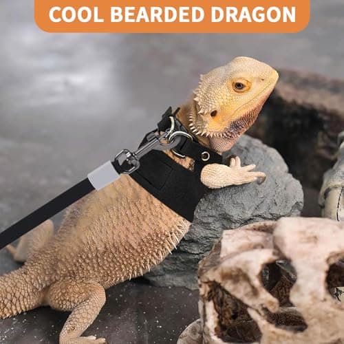 VOXGET 3 Pack Bearded Dragon Leash and Harness Set, Retractable 9.8FT Leash with 3 Sizes Adjustable Soft Harness for Reptile Small Animals Walking, Cute Lizard Vest Clothes for Reptile Lovers -Black - Thumbnail 6