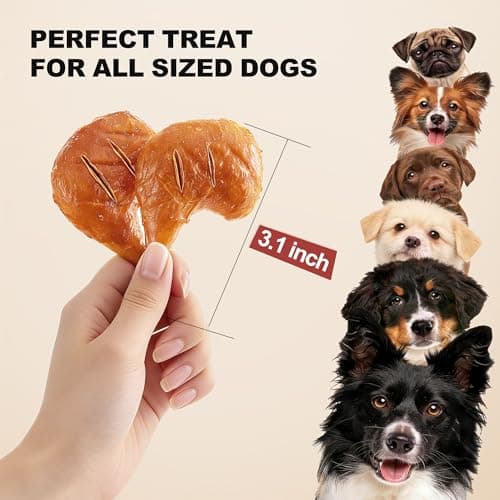 PETPHABET Rawhide Free Dog Chew Bones - Grilled Chicken Leg Dog Chews for Small Medium Breeds, Healthy Puppy Treats for Training & Teething, Made with Real Chicken, Natural Smoky Flavor, 11 Count - Thumbnail 4