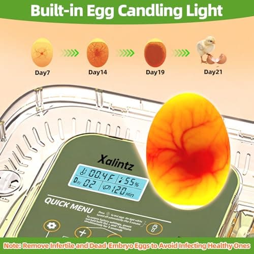 Automatic 12 Egg Incubator - Digital Temperature/Humidity Display, Hatch Day Countdown, Auto Egg Turner & Candler with 360° View for Hatching Chicken, Duck, Quail Eggs - Thumbnail 5